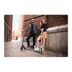 Tretroller Soke CITY green
